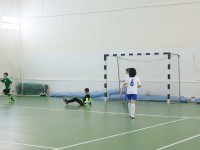 IMG_1241
